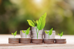How To Invest In Mutual Funds In 2024